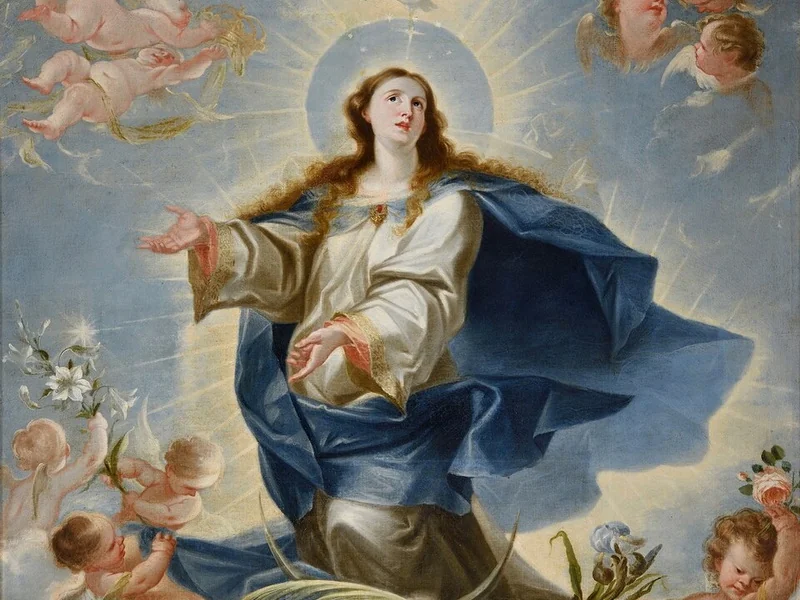 1637-Mateo Cerezo Delgado - Immacolata Concezione - Medina de Rioseco, Museo di San Francisco